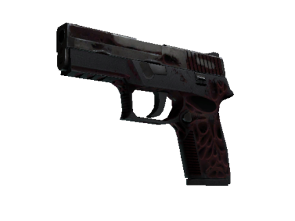 P250 | Contaminant (Battle-Scarred)