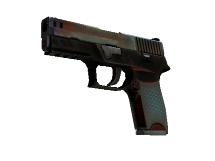 P250 | Cyber Shell (Battle-Scarred)